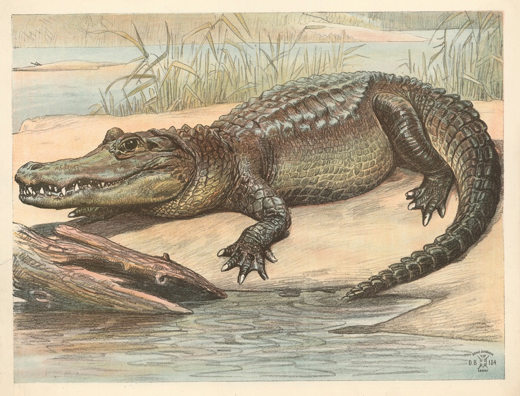 Krokodille by Олуф Август Хермансен, 1892 — digital art print download