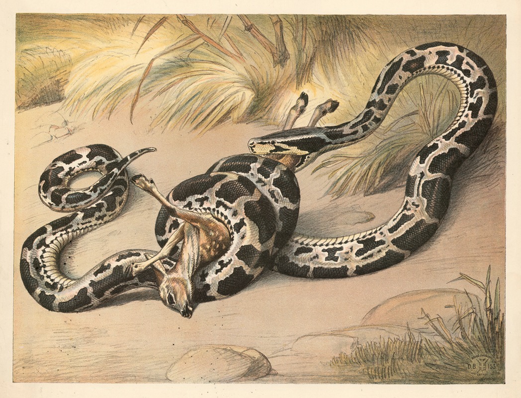 Kvælerslange by Олуф Август Хермансен, 1892 — digital art print download
