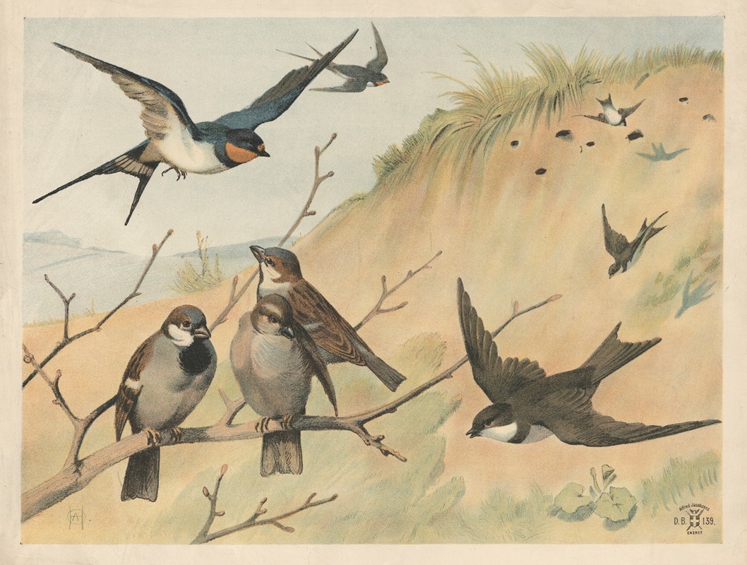 Landsvale, digesvale og gråspurv by Олуф Август Хермансен, 1892 — digital art print download