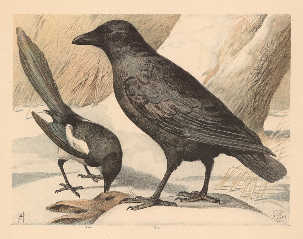 Ravn og skade by Oluf August Hermansen, 1892 — digital art print download