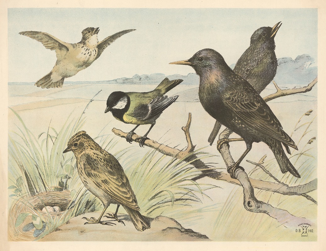 Stær, lærke og musvit by Олуф Август Хермансен, 1892 — digital art print download