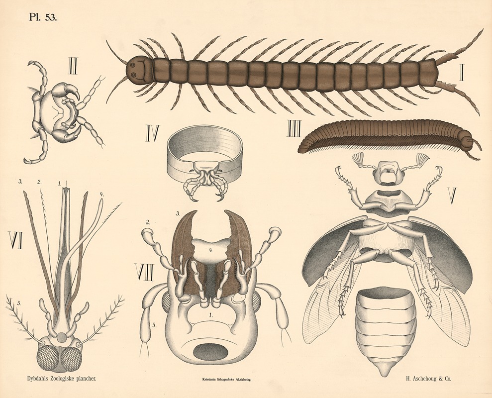 Tusindben og insekter by Петер Дибдал, 1881 — digital art print download