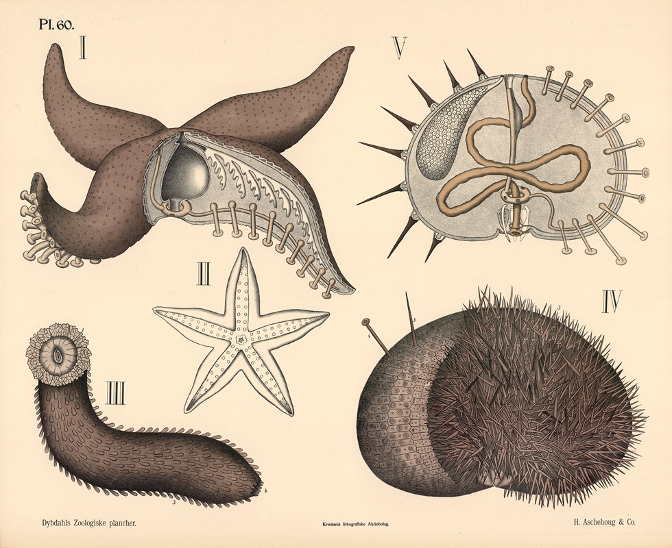 Pighudede by Петер Дибдал, 1881 — digital art print download