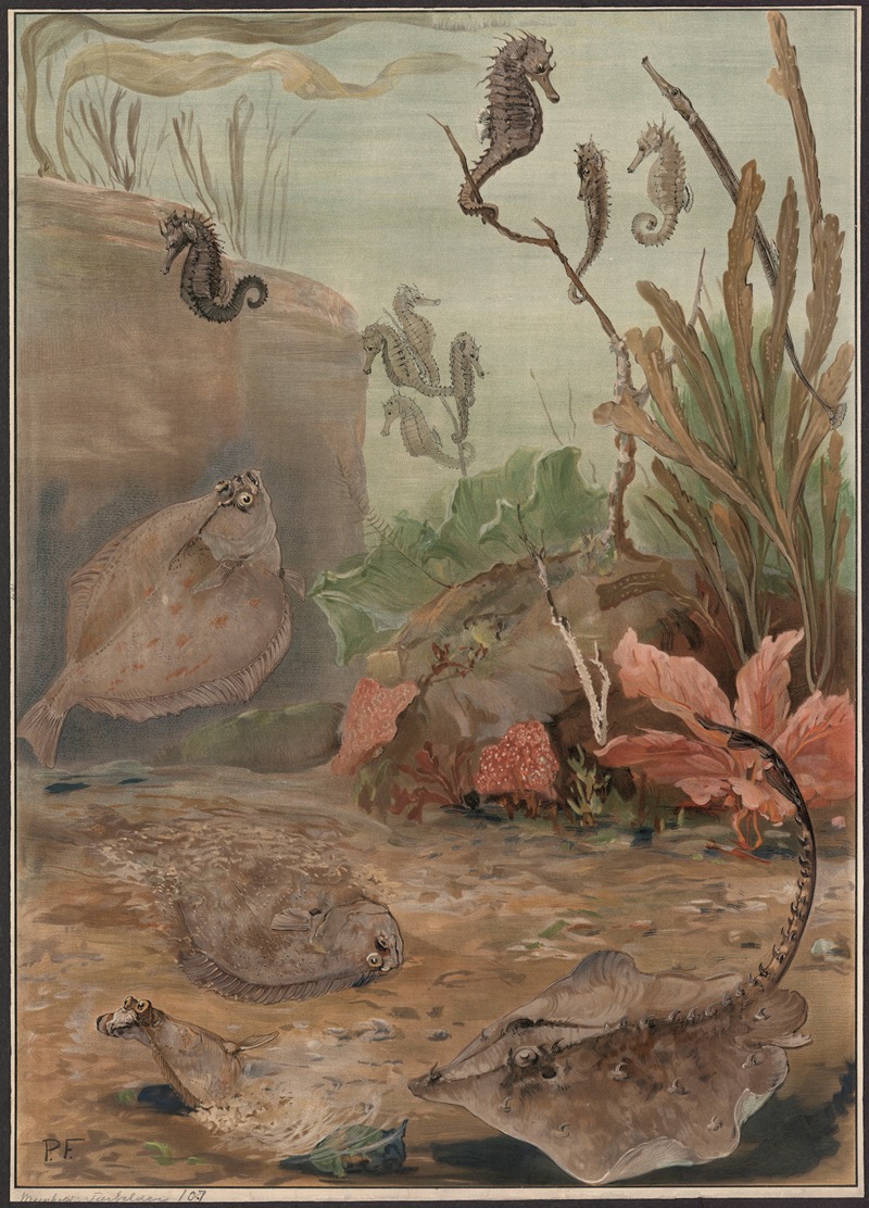 Flounders and seahorses by Paul Flanderky, 1909 — digital art print download