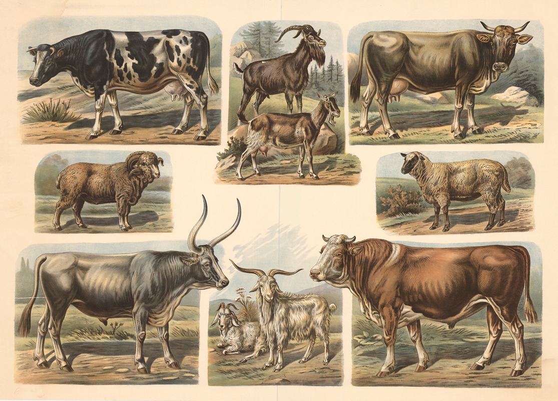 Cattle, sheep, and goats by Albert Kull, 1900 — digital art print download
