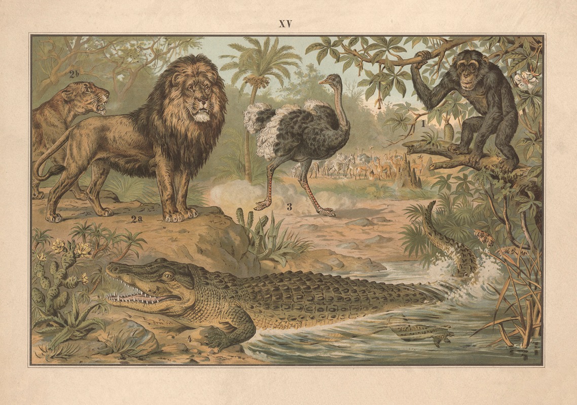 Chimpanzee, lion, ostrich, and crocodile — Albert Kull
