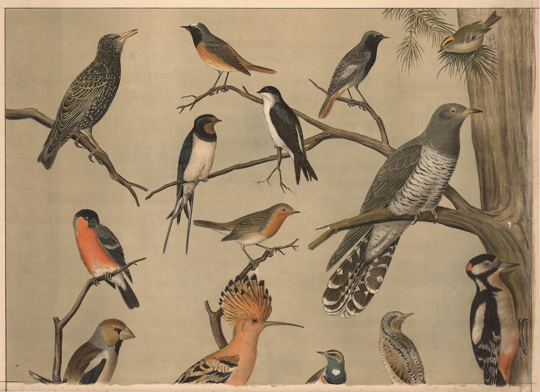 Small birds II by Christian Anton Goering, 1911 — digital art print download