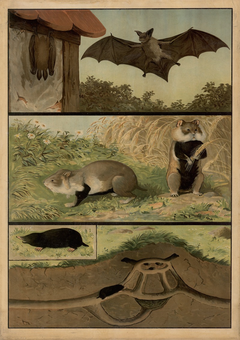 Bats, hamsters, and moles by C.C. Майнхольд и сыновья, 1895 — digital art print download