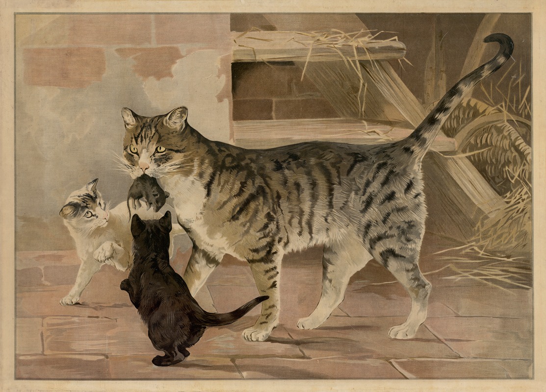 Cat by C.C. Майнхольд и сыновья, 1895 — digital art print download