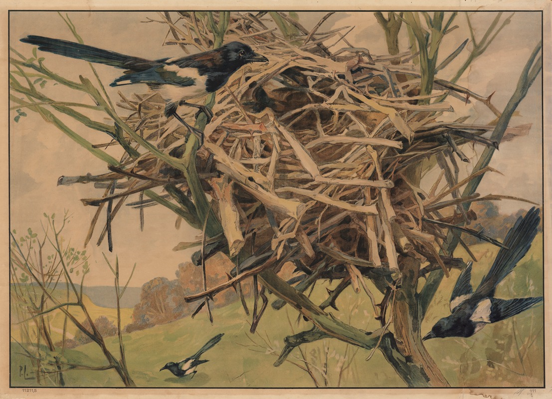 Magpie by C.C. Майнхольд и сыновья, 1913 — digital art print download