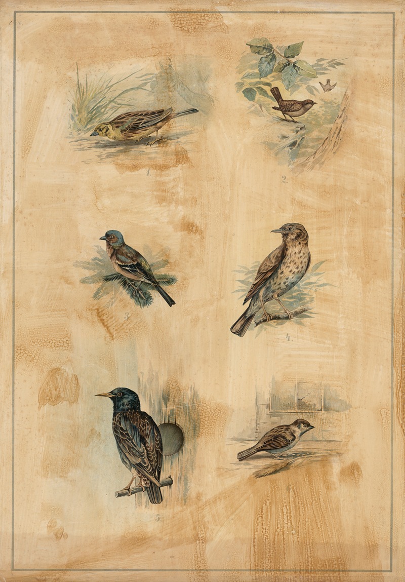 Songbirds by C.C. Майнхольд и сыновья, 1895 — digital art print download