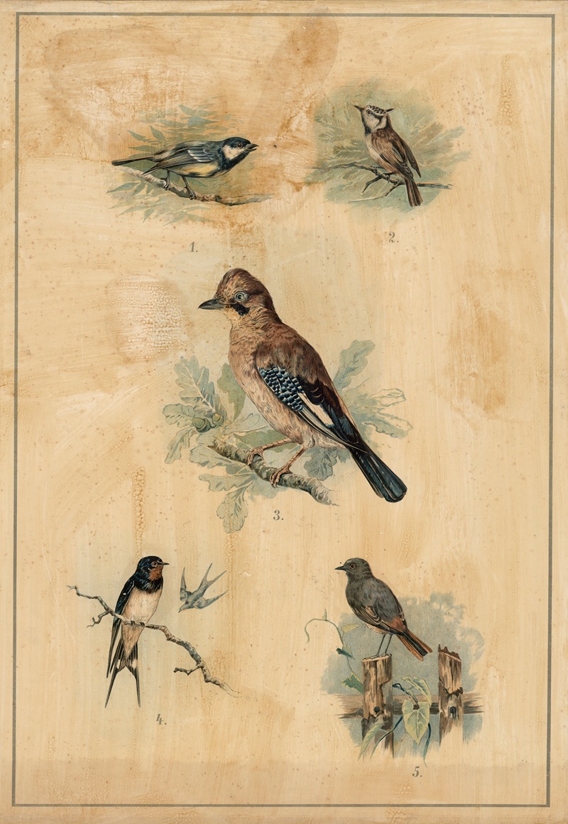 Songbirds by C.C. Майнхольд и сыновья, 1895 — digital art print download