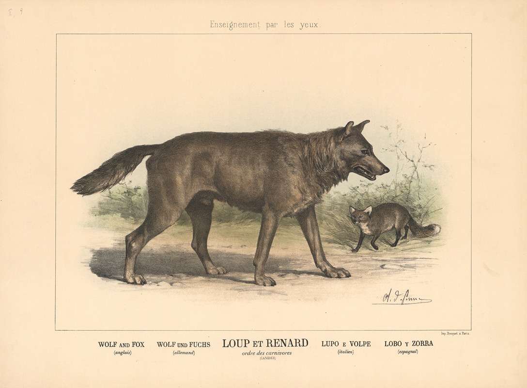 Wolf and Fox by Шарль-Оливье де Пенн, 1890 — digital art print download