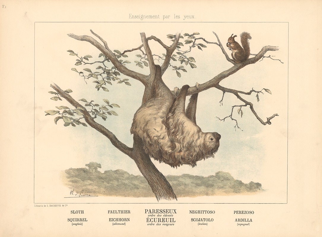 Sloth, Squirrel by Шарль-Оливье де Пенн, 1890 — digital art print download