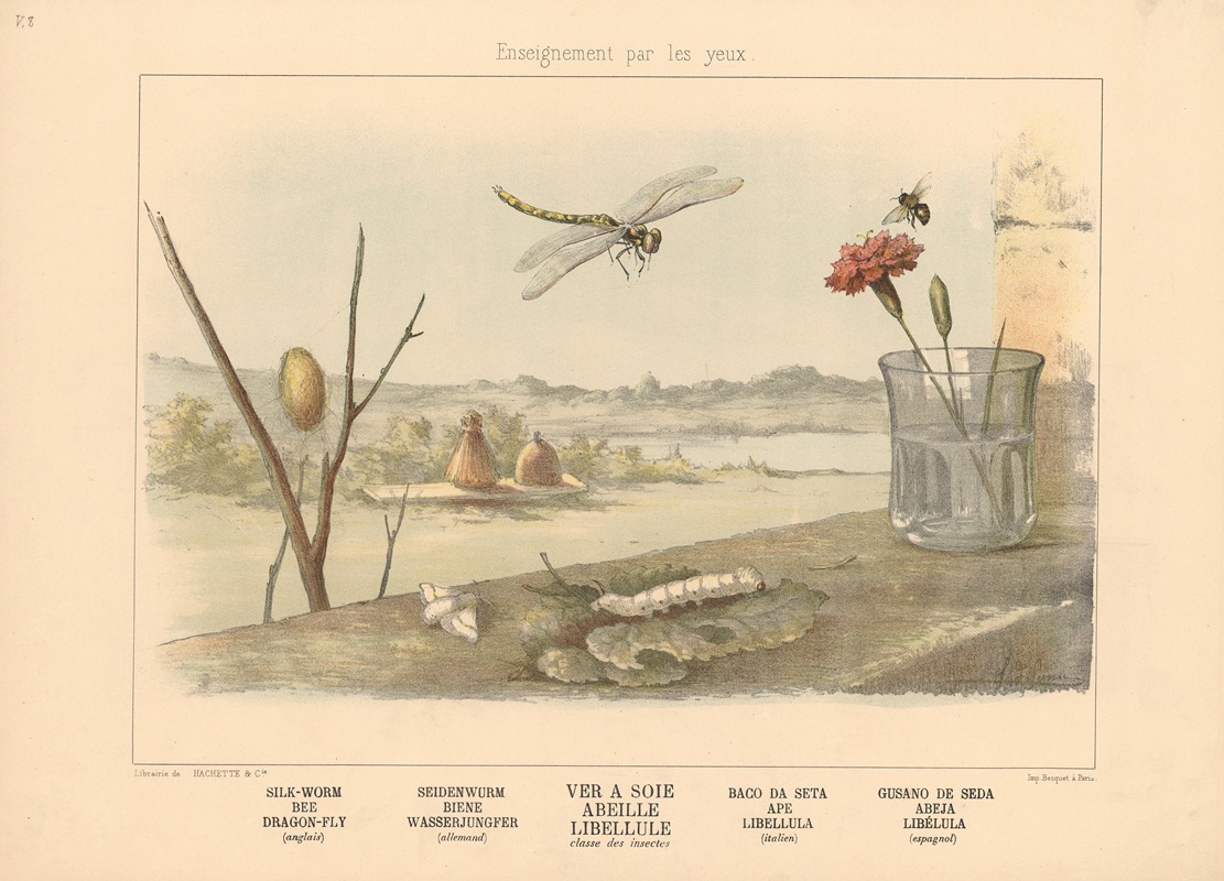 Silk-worm, Bee, Dragon-fly by Шарль-Оливье де Пенн, 1890 — digital art print download