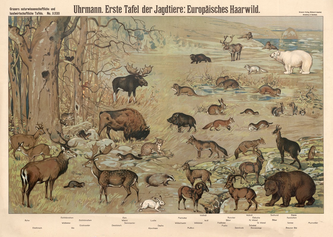 European game animals by Э. Шивик, 1909 — digital art print download