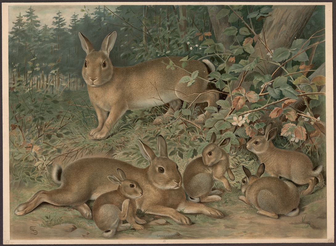 Rabbits by Emil Schmidt, 1882 — digital art print download