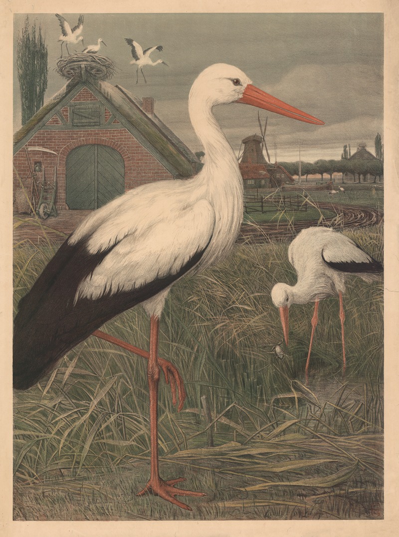 Stork by Emil Schmidt, 1882 — digital art print download