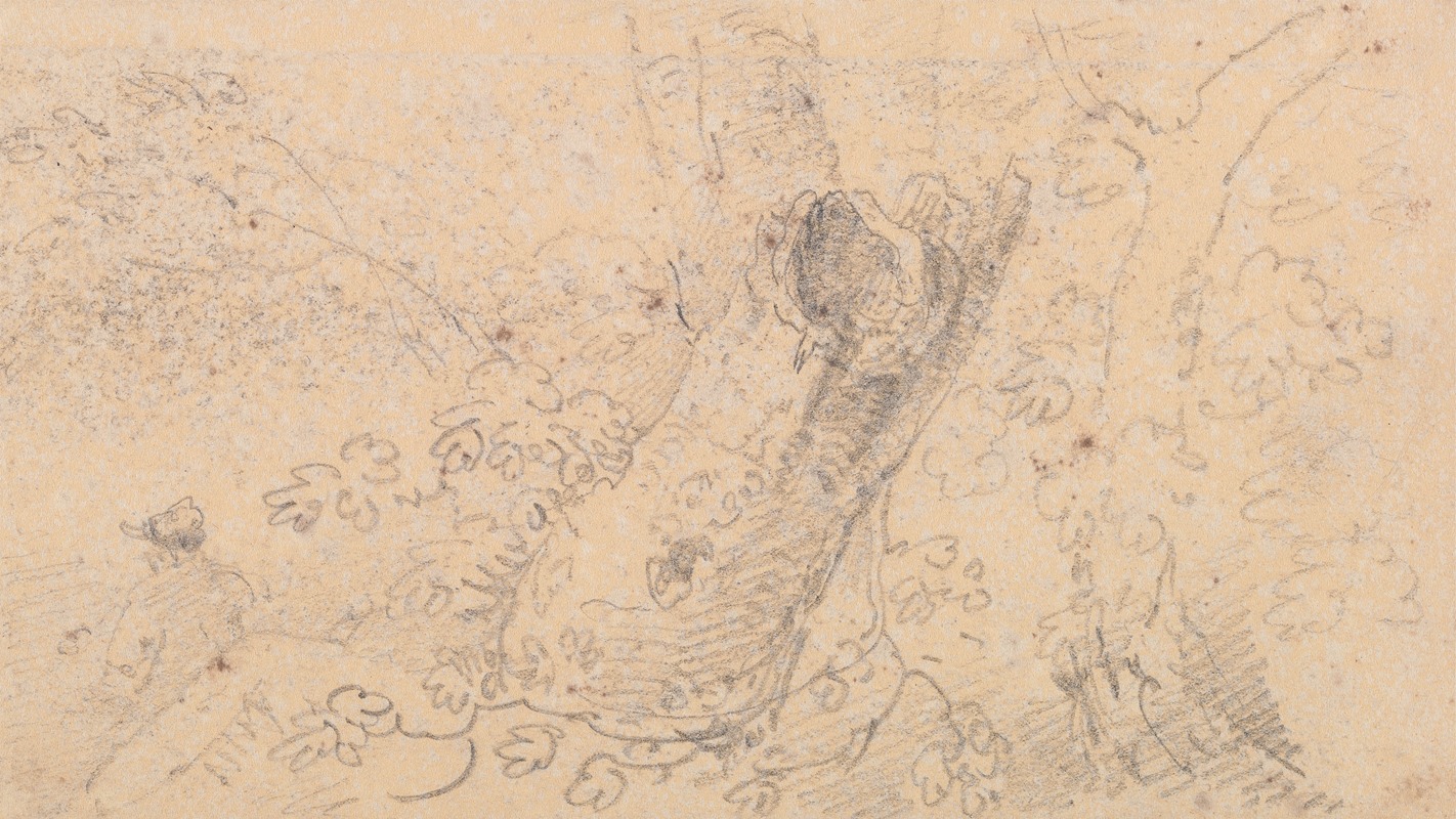 Sketch of a Hollow Tree Trunk — Thomas Hastings