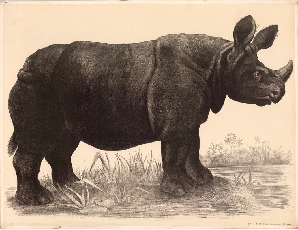 Nashorn (Rhinoceros indicus) by Franz Engleder, 1860 — digital art print download