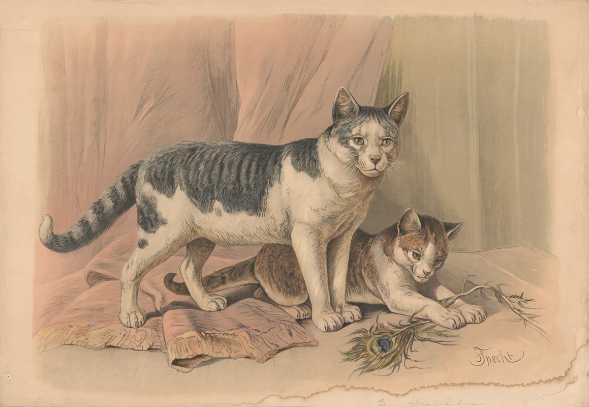 Cat by Friedrich Specht, 1882 — digital art print download