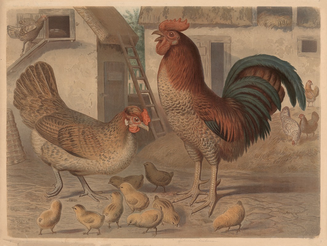Rooster, hen and chickens by Friedrich Specht, 1882 — digital art print download