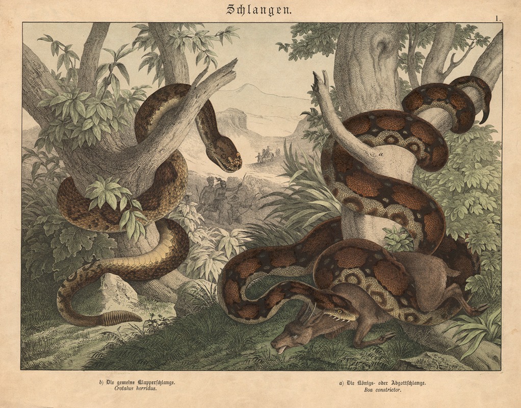 Schlangen. b) Die gemeine Klapperschlange, a) Die Könings-oder Abgottschlange — Gotthilf Heinrich von Schubert