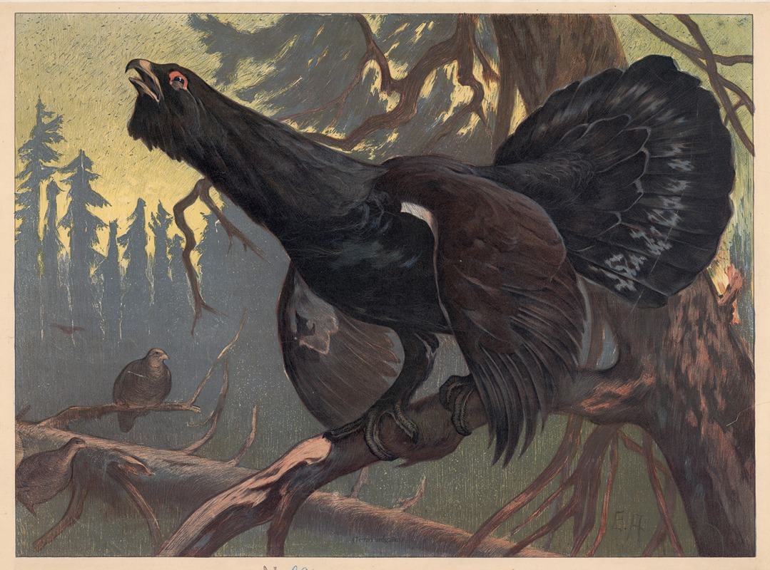 Black grouse by H. Springer, 1890 — digital art print download