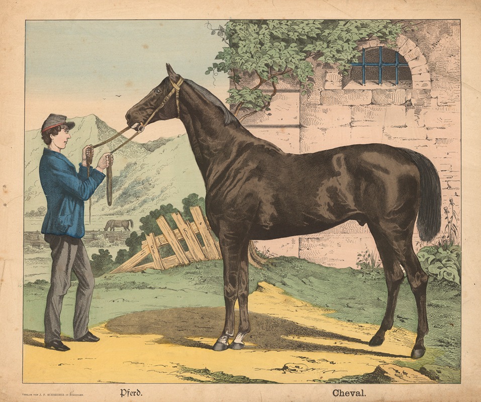 Horse by J.F. Schreiber, 1900 — digital art print download