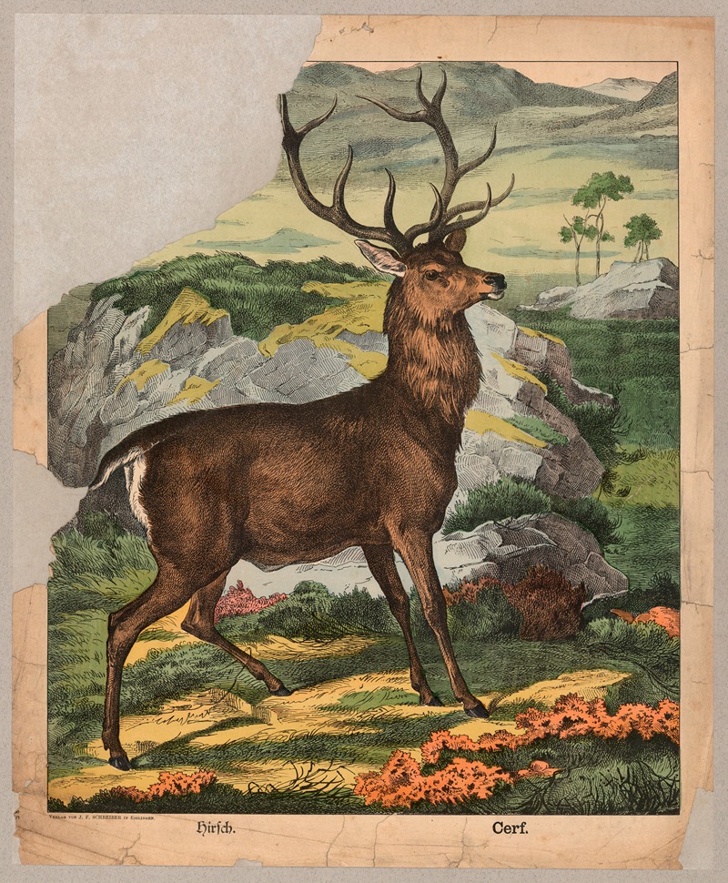 Deer by Й.Ф. Шрайбер, 1900 — digital art print download