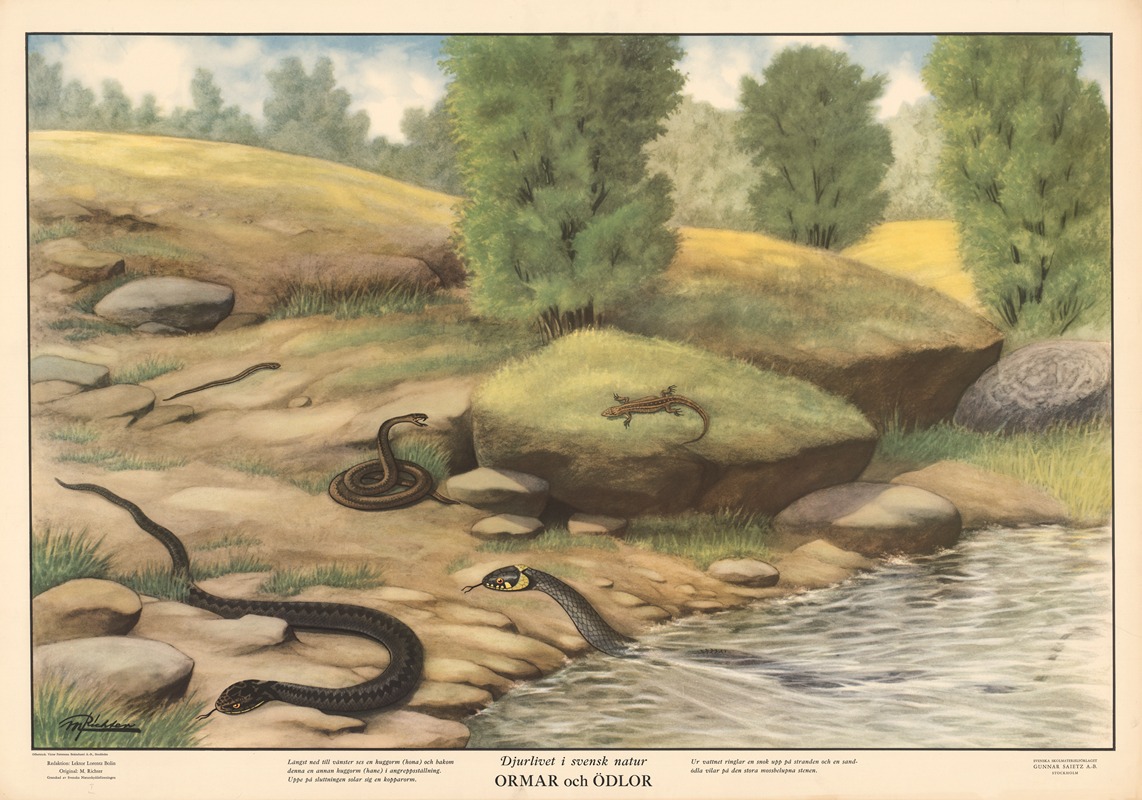 Snakes and lizards by Макс Рихтер, 1950 — digital art print download