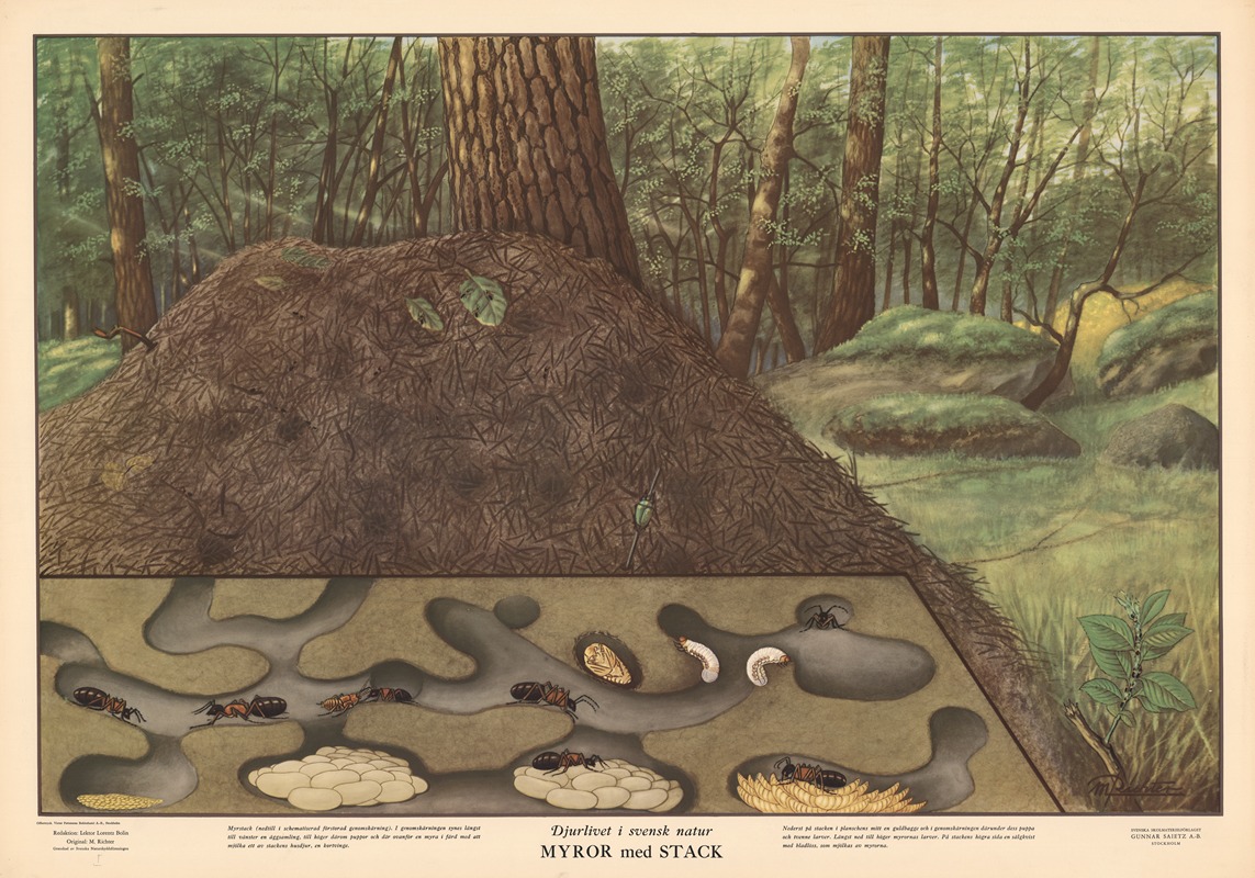 Anthill by Макс Рихтер, 1950 — digital art print download