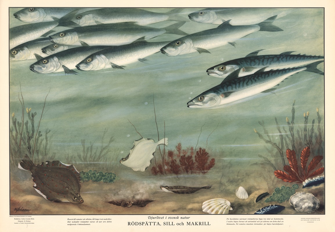 Plaice, herring and mackerel by Макс Рихтер, 1950 — digital art print download