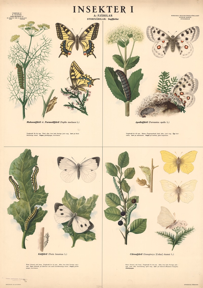 Insekter I by Max Richter, 1939 — digital art print download