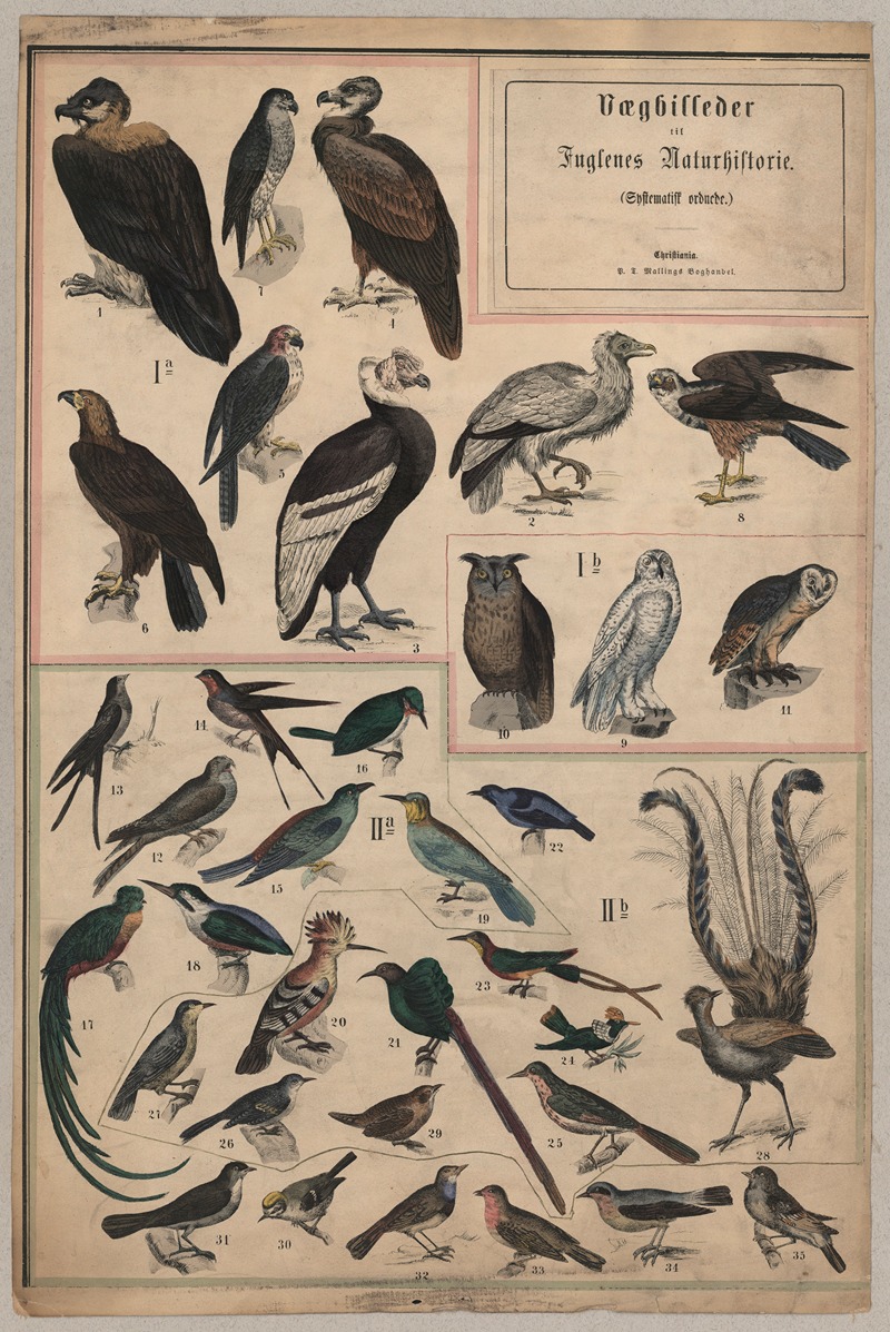 Birds I by P.T. Malling, 1890 — digital art print download