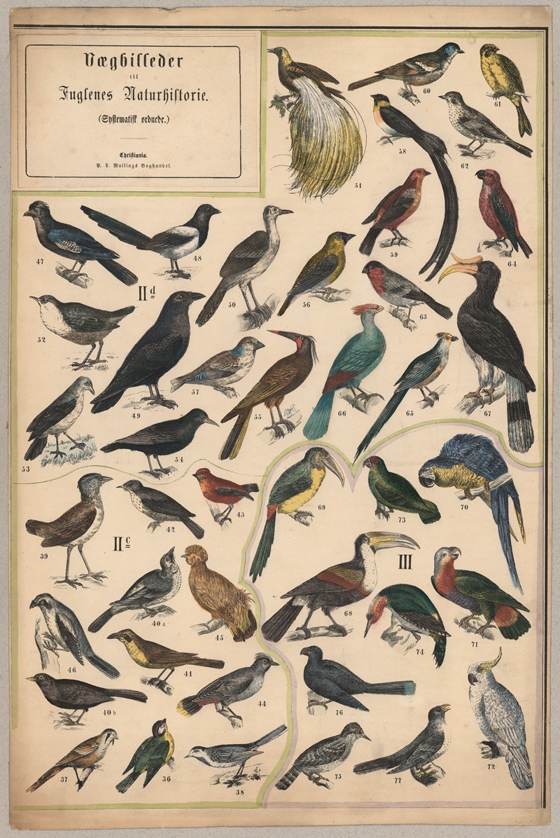 Birds II by P.T. Malling, 1890 — digital art print download