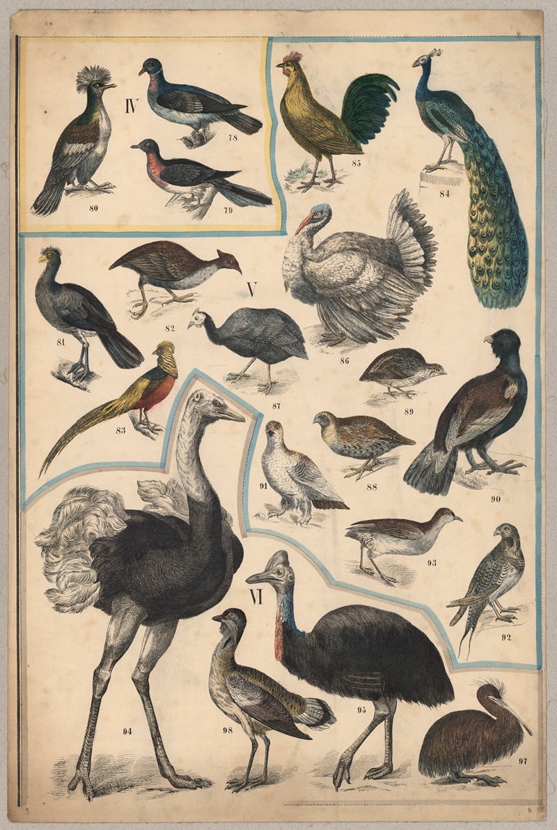 Birds III by P.T. Malling, 1890 — digital art print download