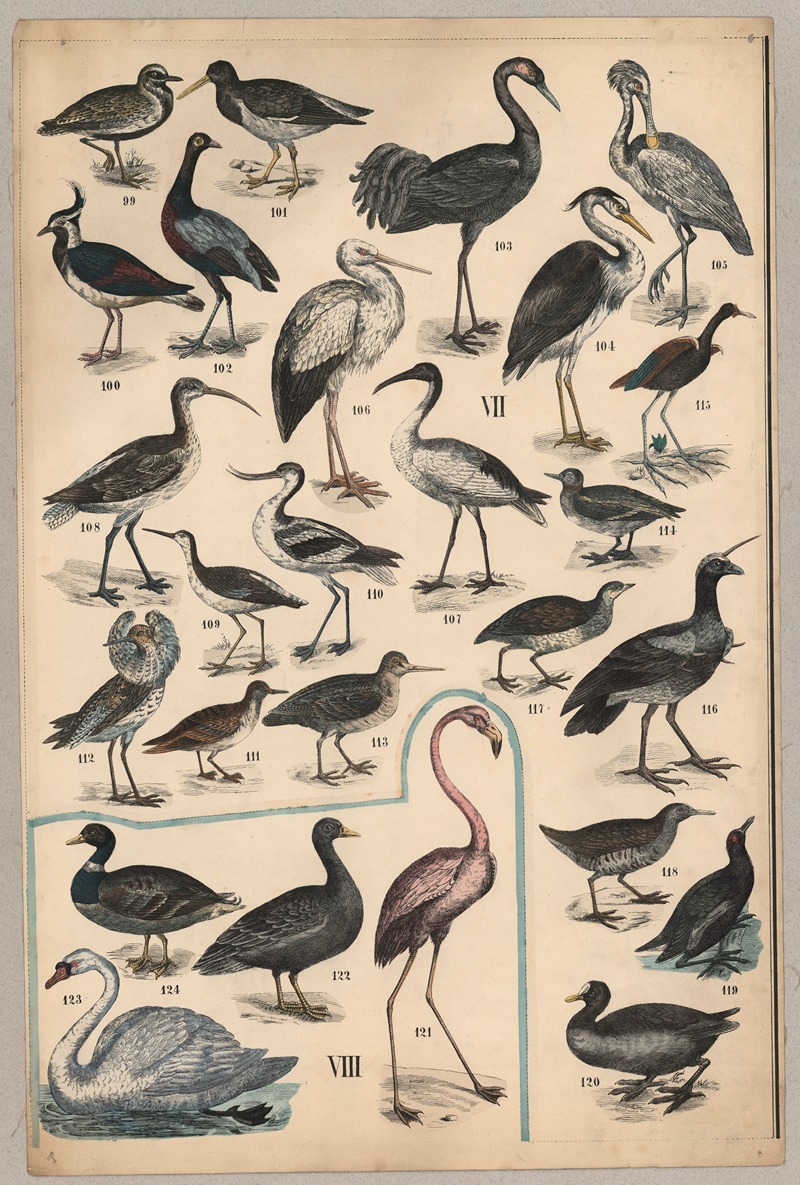 Birds IV by P.T. Malling, 1890 — digital art print download