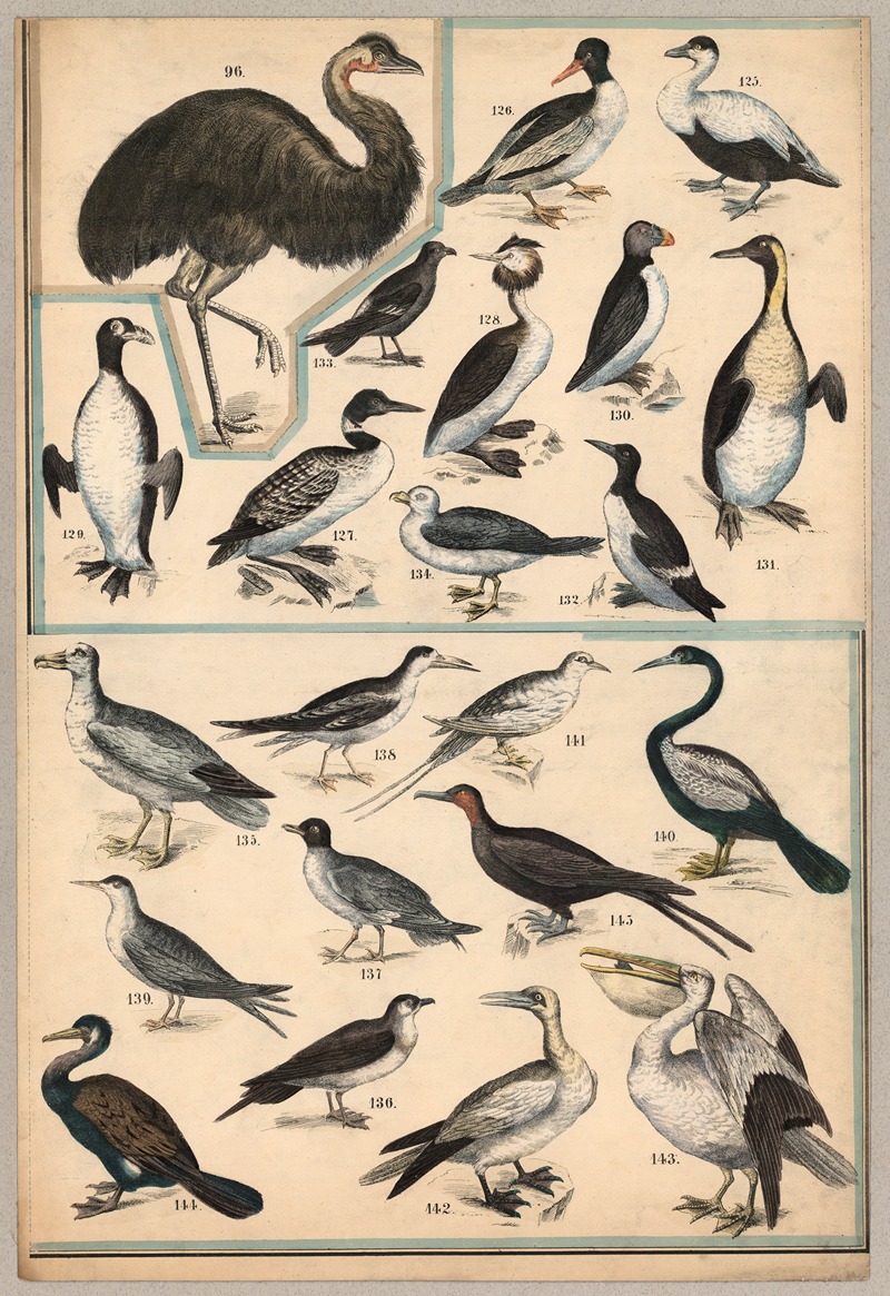 Birds V by P.T. Malling, 1890 — digital art print download