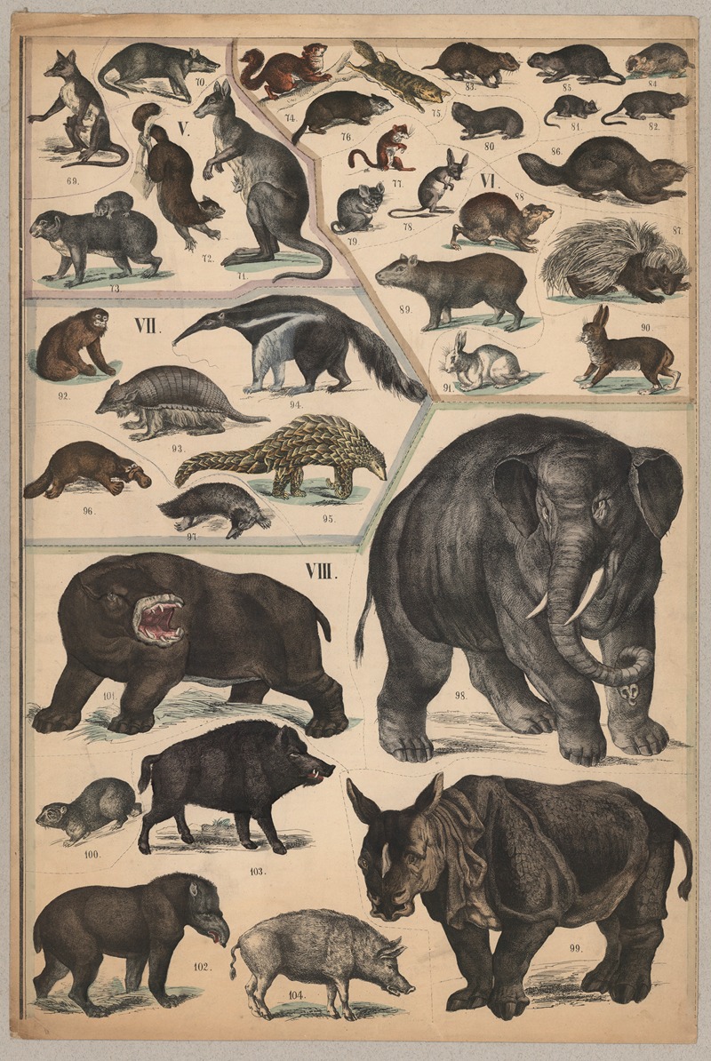 Marsupials, rodents, and pachyderms by P.T. Malling, 1890 — digital art print download