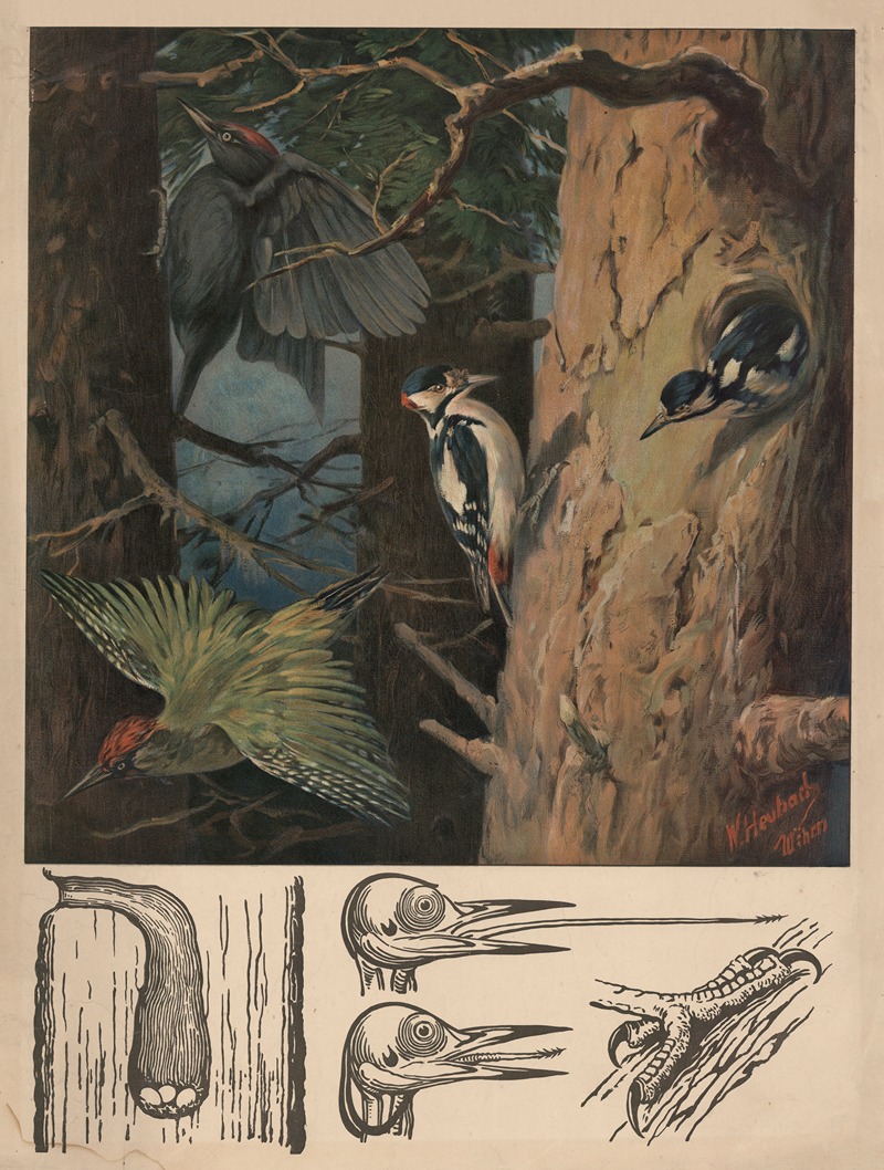 Woodpecker by Walter Heubach, 1890 — digital art print download