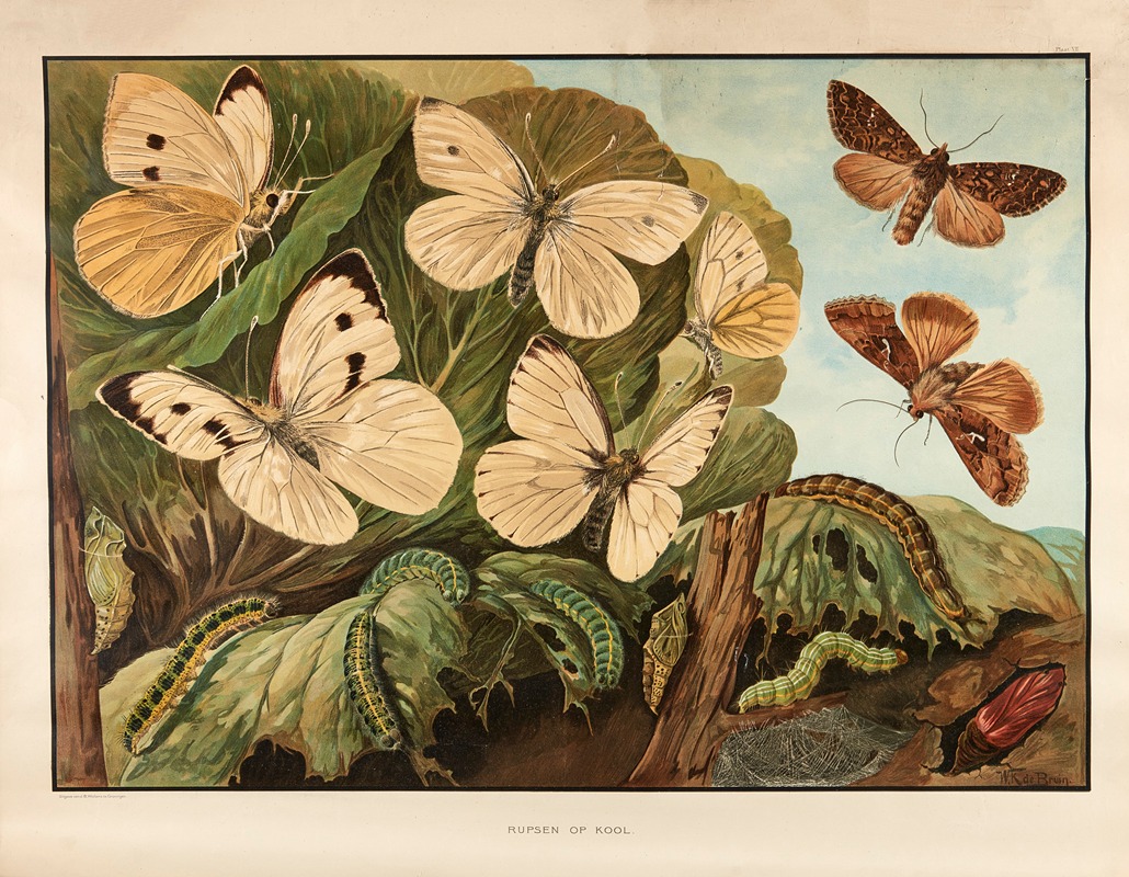 Caterpillars on Cabbage by Wilhelmus Karel de Bruin, 1915 — digital art print download