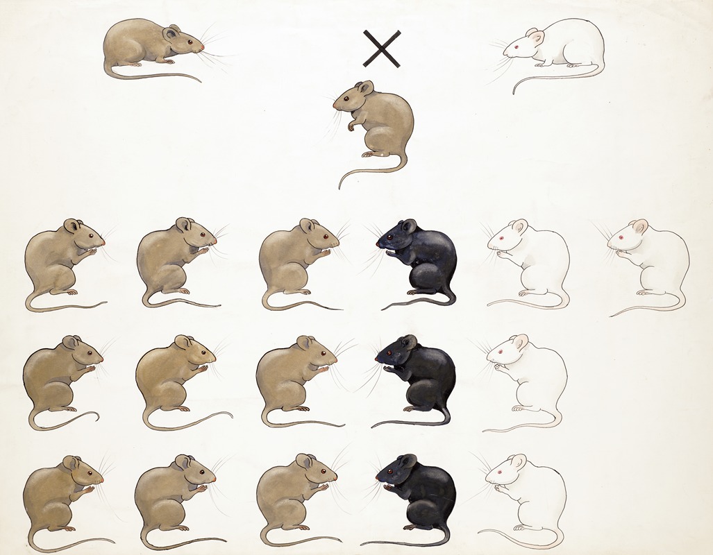 Muizen. Cryptomerie v;d Agouti factor by A.A. van Voorn — digital art print download