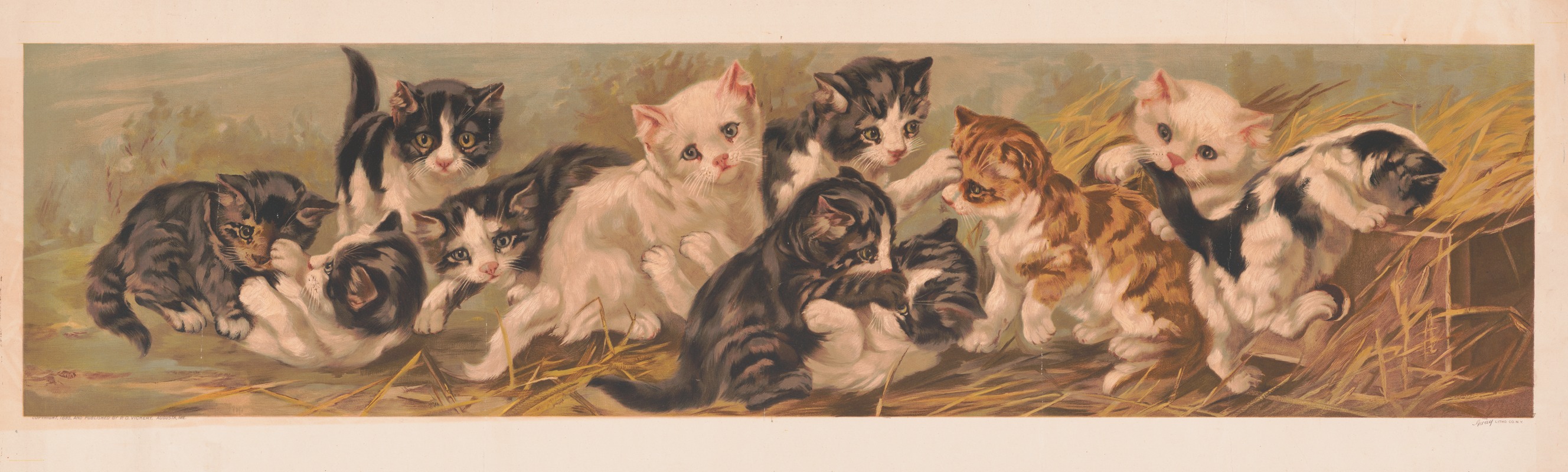 Yard of cats by Грей Литхо. Ко, 1895 — digital art print download