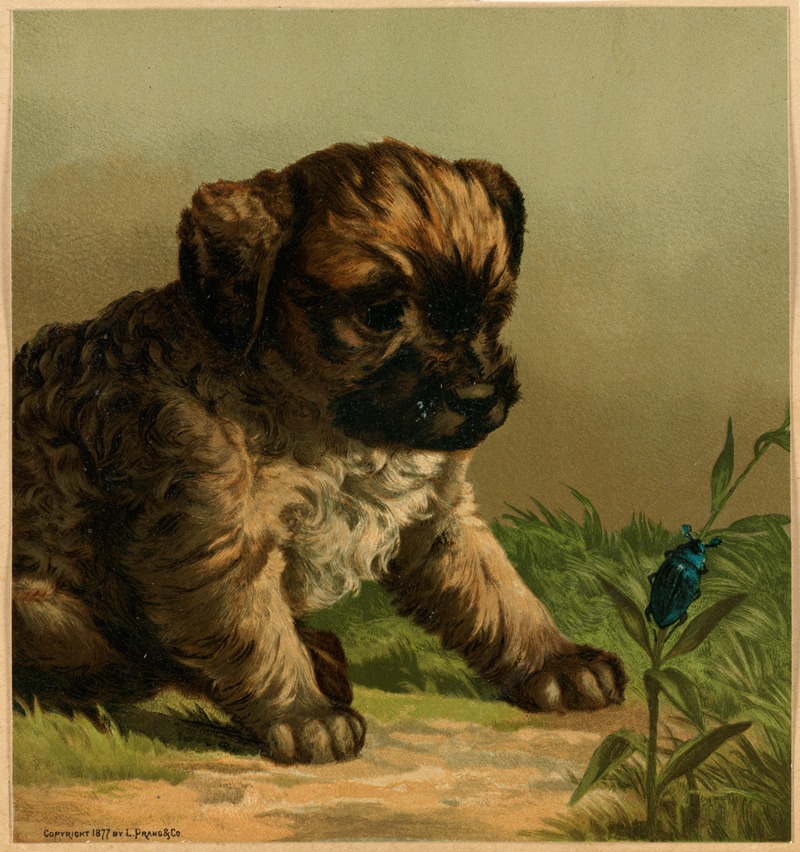 The young naturalist by Гарри Бирд, 1877 — digital art print download