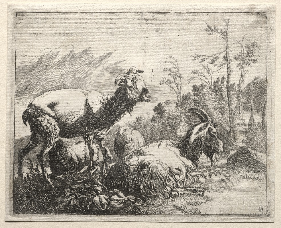 Goats by Иоганн Генрих Роос, 1665 — digital art print download