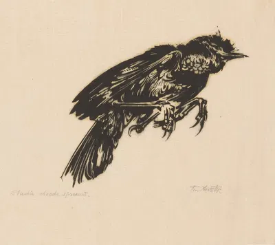 Doode spreeuw by Иоганнес Фредерик Энгельберт тен Клоостер, 1919 — digital art print download