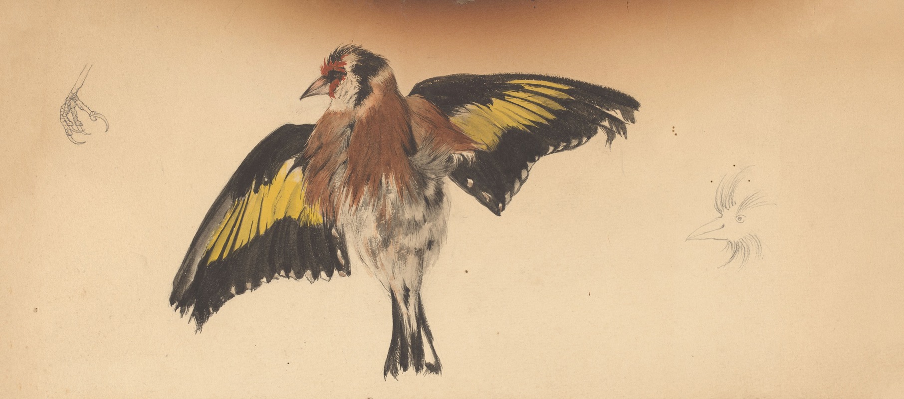 Bird with outstretched wings by Julie de Graag — digital art print download