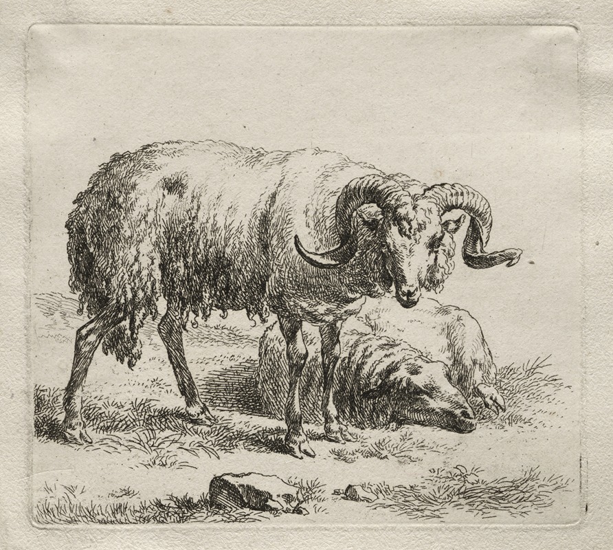Ram and Sheep by Николаес Питерсз. Берхем, 1635-1683 — digital art print download