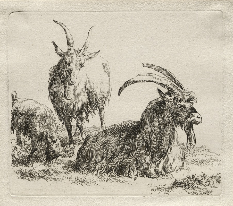 Three Goats by Николаес Питерсз. Берхем, 1635-1683 — digital art print download
